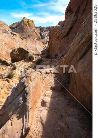 Colorful sandstone on the trail in Valley of Fire 29862020