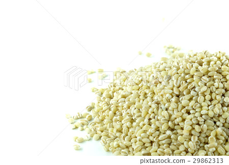 Barley on white background. 29862313