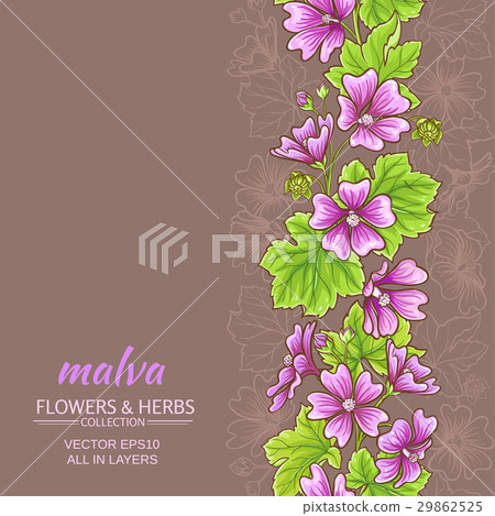 malva vector background malva vector background 29862525