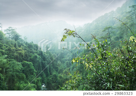 Datanla waterfall, Dalat. Vietnam Datanla waterfall, Dalat. Vietnam 29863323