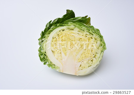 Cross section of rounded cabbage Cross section of rounded cabbage 29863527