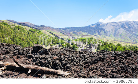 view of hardened lava on slope of Etna volcano 29863793