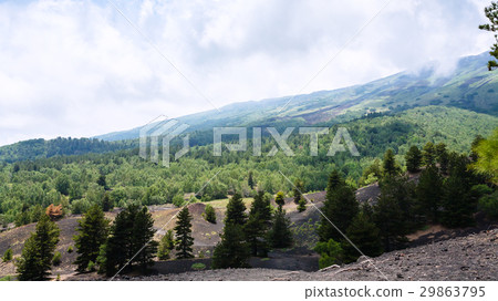 cloud over green slope of Etna mount 29863795