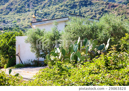 rural landscape with country house in Sicily rural landscape with country house in Sicily 29863828