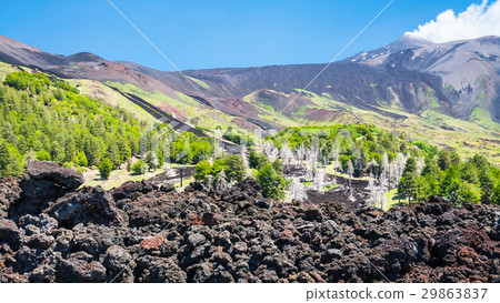 view of hardened lava flow on slope of Etna mount 29863837
