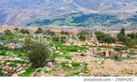 view of gardens from Mount Nebo in winter 29864261