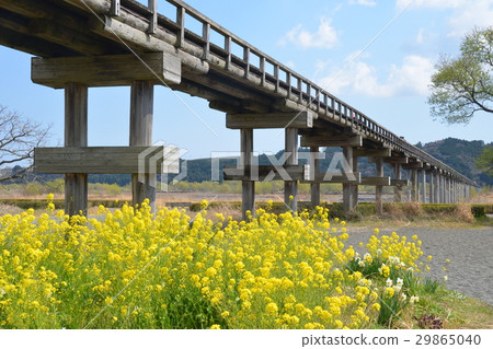 春天蓬萊橋 春天蓬萊橋 29865040