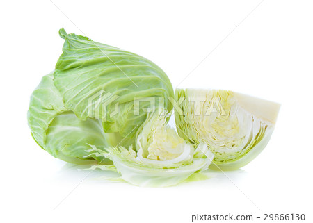 cabbage on white background cabbage on white background 29866130