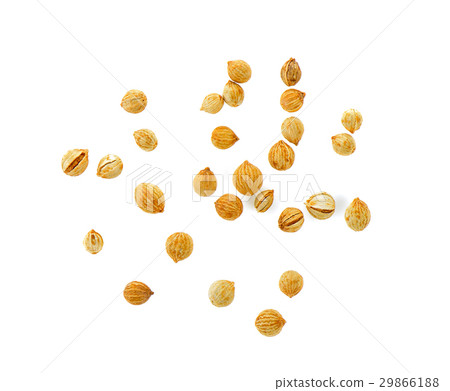 Coriander seeds isolated on white background 29866188