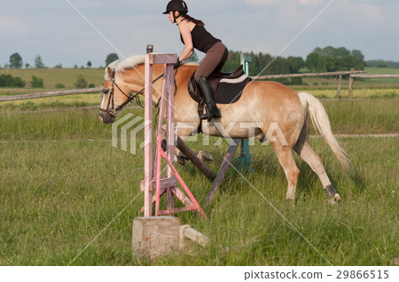 A young woman jumping over hurdle on a horse 29866515