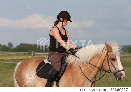A young woman riding a horse Haflinger 29866517