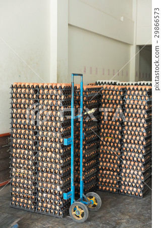 Eggs from hen farm in the package for sale. Eggs from hen farm in the package for sale. 29866573