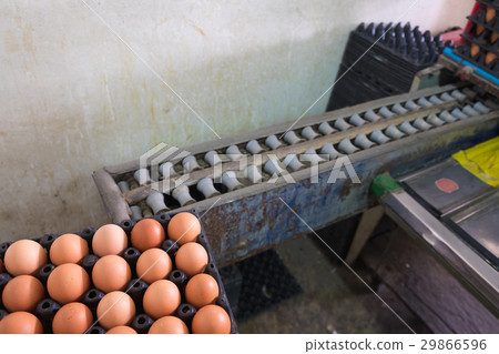 Eggs from hen farm and old weight scales machine Eggs from hen farm and old weight scales machine 29866596