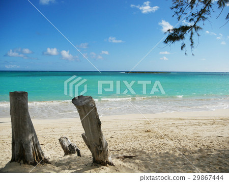 夏威夷瓦胡島凱盧阿海灘 夏威夷瓦胡島凱盧阿海灘 29867444