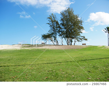 夏威夷瓦胡島的凱魯瓦海灘公園 夏威夷瓦胡島的凱魯瓦海灘公園 29867466