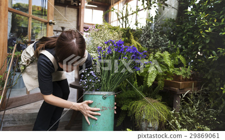 Flower Shop Store Florist Botany Bouquet Blooming 29869061