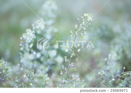 Penetration of raindrops Penetration of raindrops 29869971