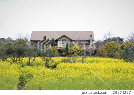 一家咖啡館 一家咖啡館 29874257