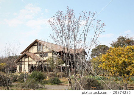 一家咖啡館 一家咖啡館 29874285