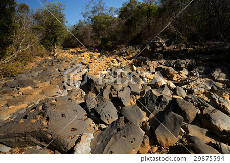 dry stone riverbed, Ankarana Madagascar 29875594