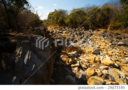 dry stone riverbed, Ankarana Madagascar 29875595