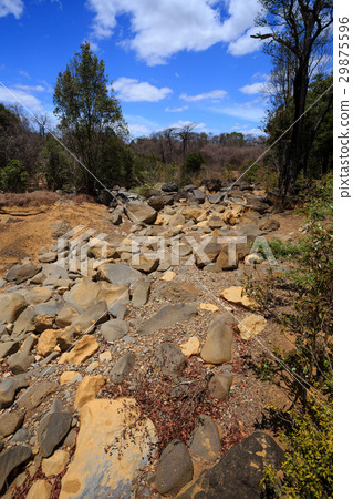 dry stone riverbed, Ankarana Madagascar 29875596