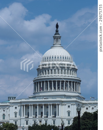 Washington D.C. United States Capitol / United States Capitol 29875755