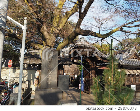 天王寺 29876378