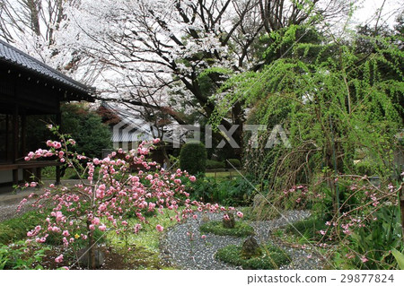 九條博物館 九條博物館 29877824