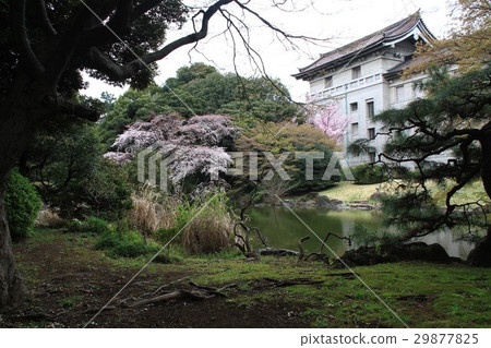 花園開放 花園開放 29877825