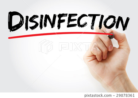 Hand writing Disinfection with marker 29878361