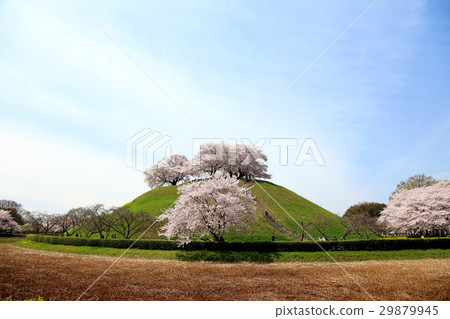 Saitama burial mound of spring Saitama burial mound of spring 29879945