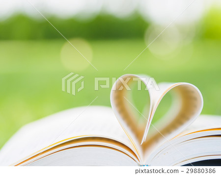 book on table in garden  29880386