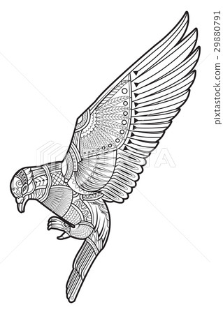 Drawing dove (pigeon) Drawing dove (pigeon) 29880791