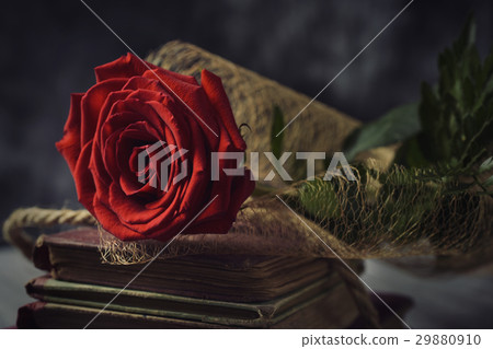 red rose and old books 29880910