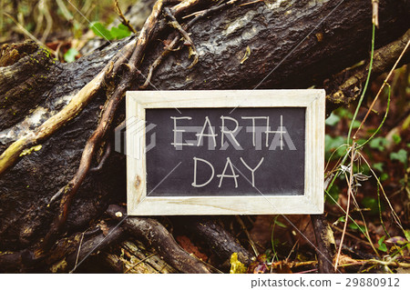 chalkboard with the text earth day in a tree chalkboard with the text earth day in a tree 29880912