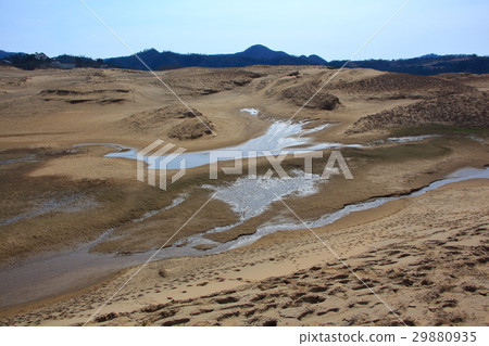Tottori sand dune and oasis Tottori sand dune and oasis 29880935
