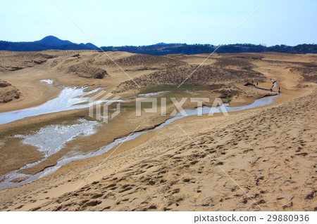Tottori sand dune and oasis Tottori sand dune and oasis 29880936