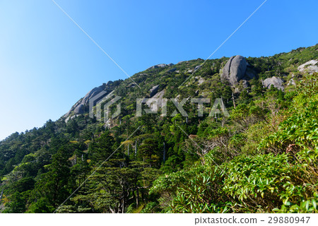 鹿兒島屋久島Miyanoura的山脈dake Okutake 鹿兒島屋久島Miyanoura的山脈dake Okutake 29880947