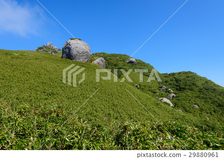 鹿兒島屋久島Miyanoura的山脈dake Okutake 29880961