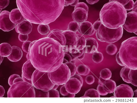 3d rendering sphere bacteria cells closeup 29881243