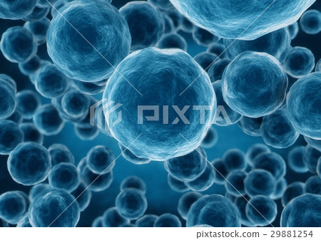 3d rendering sphere bacteria cells closeup 3d rendering sphere bacteria cells closeup 29881254