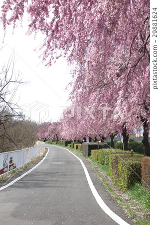 口氣河自行車道路 口氣河自行車道路 29881624