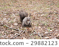 Ezorisu 29882123