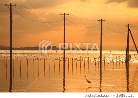 Coast, shallow sea 29883133