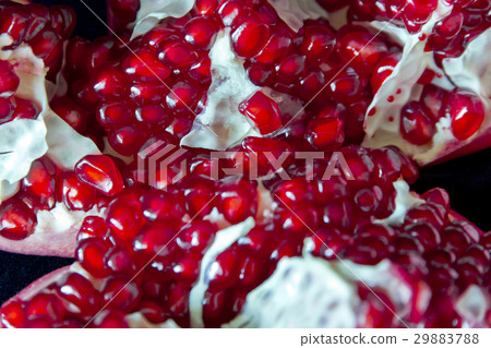 Open pomegranate 29883788