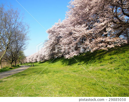 回撥 回撥 29885038