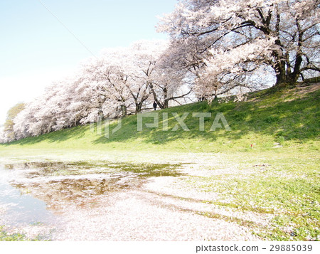 回撥 回撥 29885039