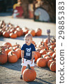 Happy little boy with pumpkin 29885383