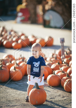 Happy little boy with pumpkin Happy little boy with pumpkin 29885383